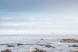 Seascape by Bas Wolfs