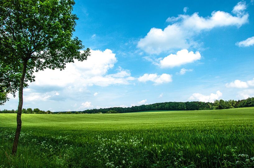 Vastness, landscape, on the mountain 3 by Norbert Sülzner