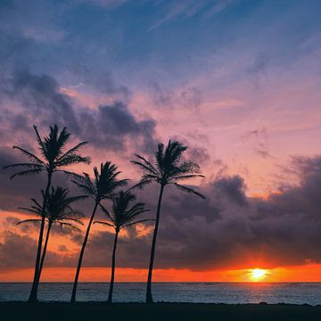 Zonsopkomst Kapaa Beach Park, Kauai, Hawaii van Henk Meijer Photography