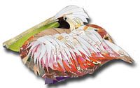 Rustende pelikaan van Ruud van Koningsbrugge thumbnail