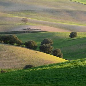 Les couches dans le paysage andalou sur Leontine van der Stouw