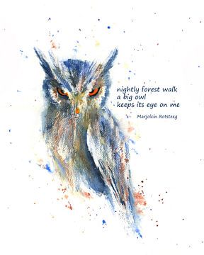 Nächtlicher Waldspaziergang Vogel Haiku Englisch