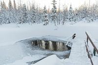 Wake in einem See in Lappland