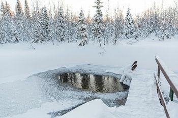 Wak in een meertje in Lapland