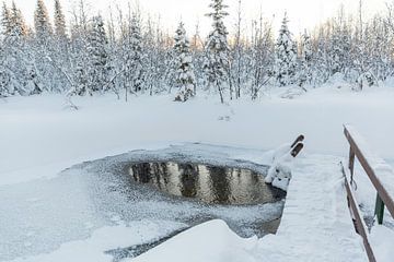 Wak in een meertje in Lapland van Miranda van Assema