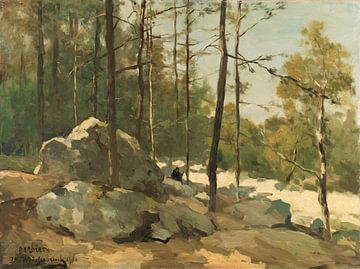 Ein Blick in den Wald bei Barbizon, Johan Hendrik Weissenbruch, 1900