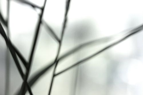 a walk in the moods 2