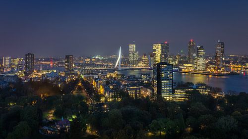 Rotterdam Skyline