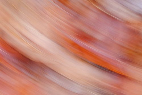 Colourful dynamic abstract