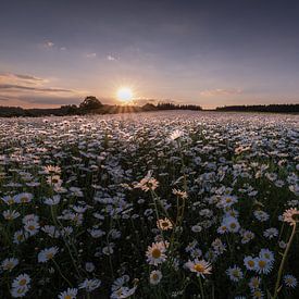 Zee van bloemen van Anselm Ziegler Photography