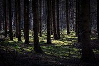 magic light