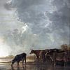 Koeien drinken in uiterwaarde onder 'Hollandse luchten' van Affect Fotografie