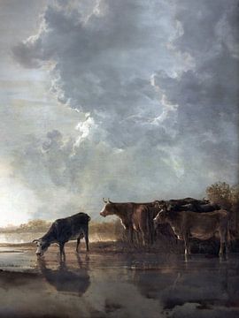 Cows drink in floodplain under 'Dutch skies'