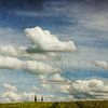 Cipressen in het gerstveld - schilderachtig landschap van Dirk Wüstenhagen