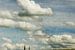 Cipressen in het gerstveld - schilderachtig landschap van Dirk Wüstenhagen