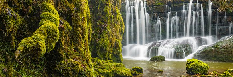 Moos am Wasserfall von Denis Feiner