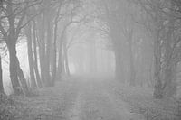 A foggy morning in October