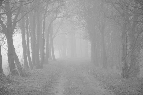 A foggy morning in October