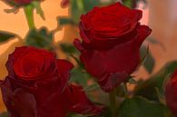 BLOEMEN : RODE ROZEN van Photoart-Naegele thumbnail