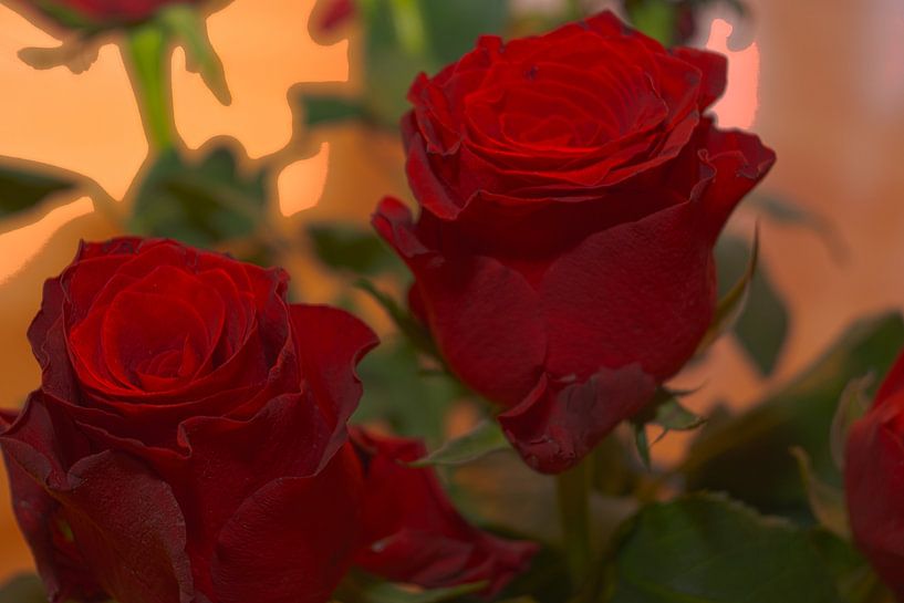 BLOEMEN : RODE ROZEN van Photoart-Naegele