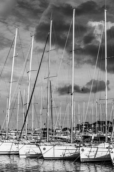 Le Port de Saint-Tropez par Tom Vandenhende