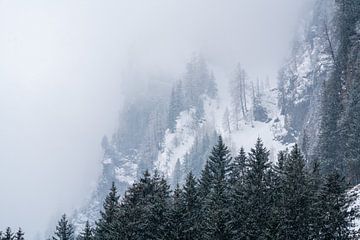 Mist in de bergen op een sombere winterdag van chamois huntress