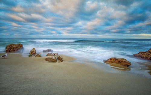 Solitude sur la côte - La Jolla, Californie