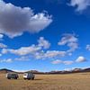 Arkhangai, Mongolie - I sur Jarne Buttiens