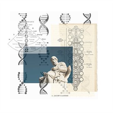 Jacobs ladder van Petra Rekman