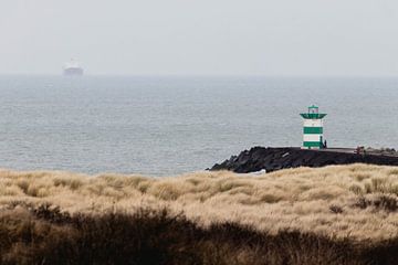 Zuidelijk havenhoofd vanuit het Westduinpark van Anne Zwagers