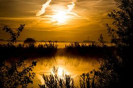 Goedemorgen 1 von gisela merkuur