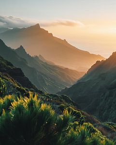 Farbenspiel über Madeira