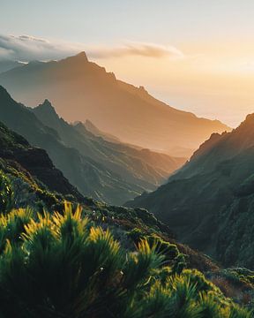 Kleurenspel boven Madeira van fernlichtsicht