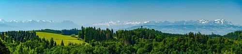 Zwitsers panoramisch bergzicht over de Bodensee met bosheuvel