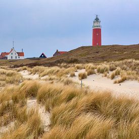Leuchtturm in Texel Eierland | Texel Leuchtturm von Kevin Baarda