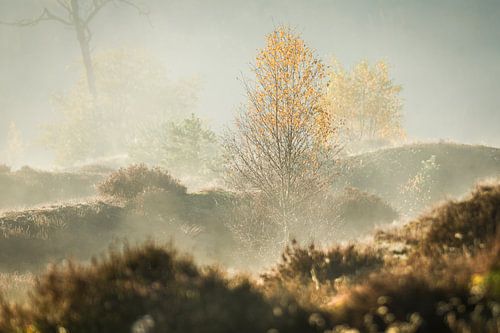 Nevel over het Hulshorster Zand