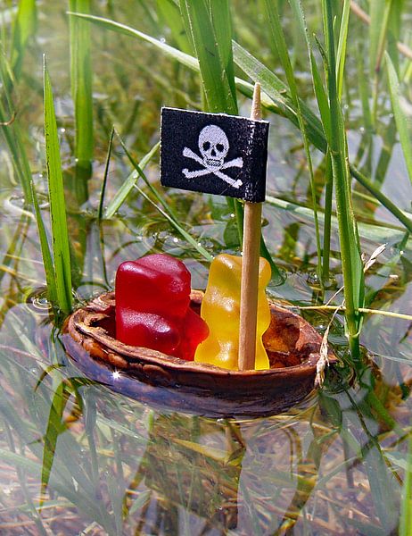 Twee gummibeer piraten op een grote reis van Ingo Laue