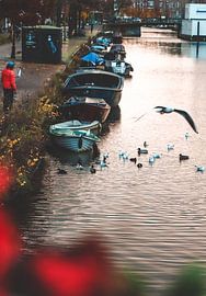 Amsterdam van Atlasinmyhand