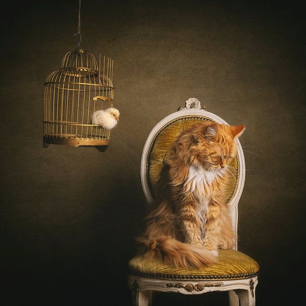 A timeless, serene image. Ivar and the sleeping chick. by mirka koot