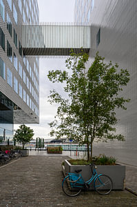 IJdok Amsterdam