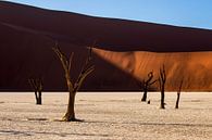 Sossusvlei Namibia by Antwan Janssen thumbnail