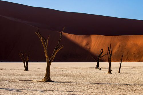 Sossusvlei  Namibië