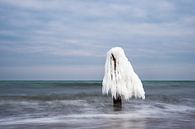 Winter on the Baltic Sea coast par Rico Ködder Aperçu