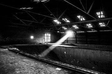 Beam of Light van Ruud van Ravenswaaij