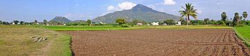 Panorama of sacred mountain Arunachala in Tamil Nadu India by Eye on You