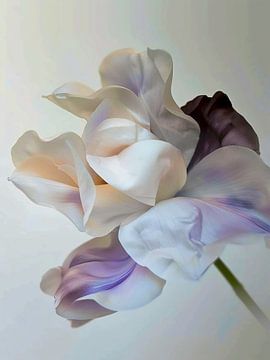 Droombloem van haroulita