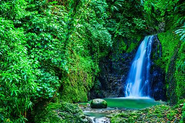 Uitzicht op de Seven Sisters watervallen op Grenada van Andreas Völkel