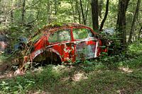 VW Beetle - Old Car City, Georgia USA