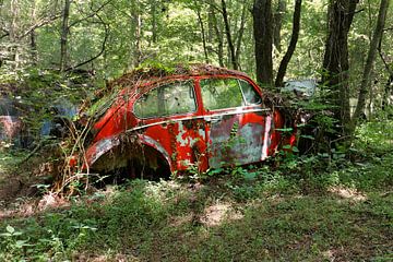 VW-Käfer - Old Car City, Georgia USA