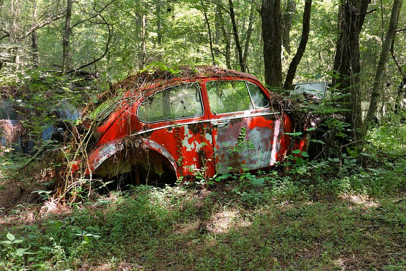 VW Beetle - Old Car City, Georgia USA by Willem van Holten